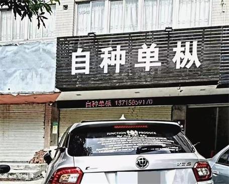 自种单丛